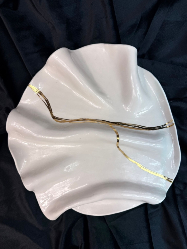 WhatsApp Image 2026-02-03 at 11.05.40