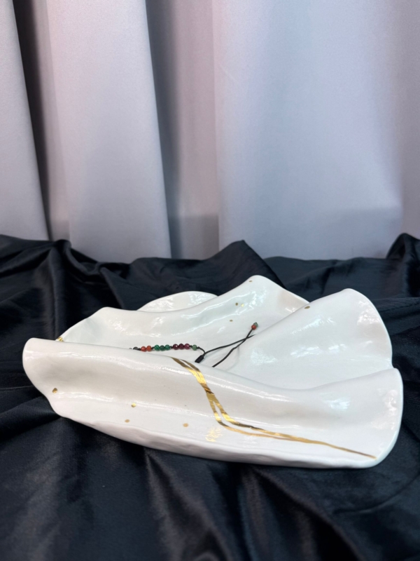 WhatsApp Image 2026-02-03 at 11.05.41 (6)