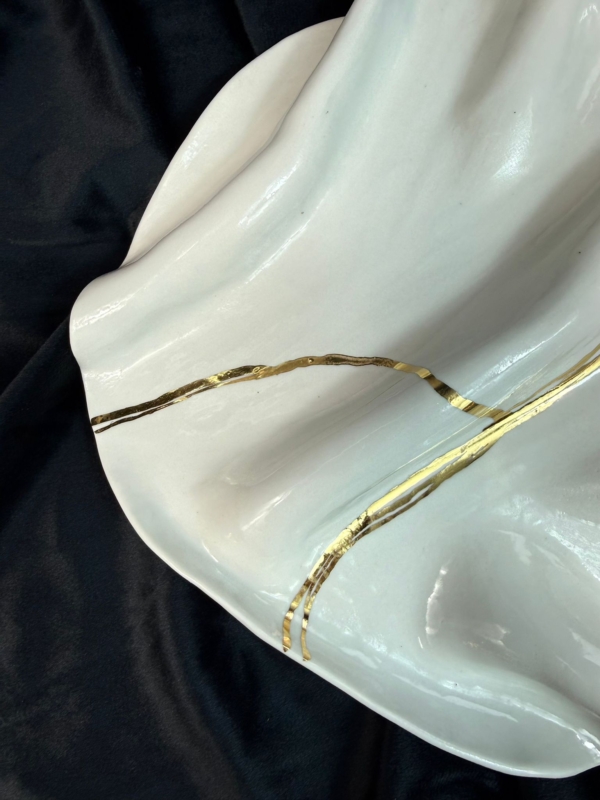 WhatsApp Image 2026-02-03 at 11.05.41