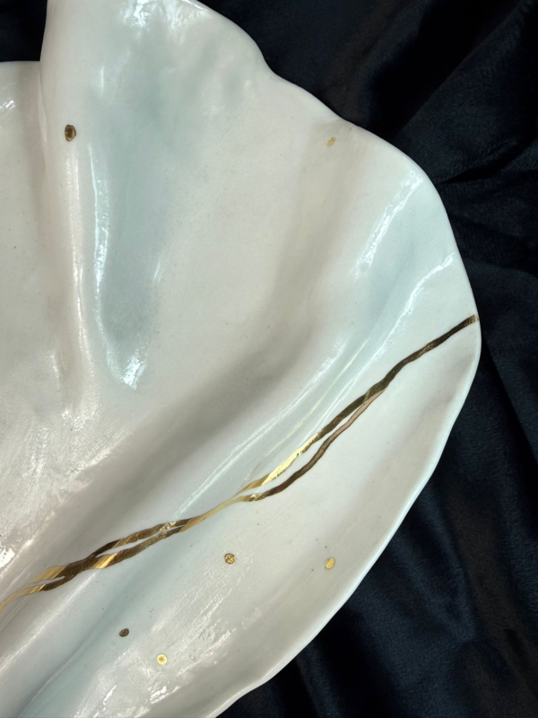 WhatsApp Image 2026-02-03 at 11.05.42